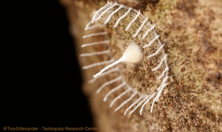 Illustration for article titled The Most Amazing Science Images of 2013